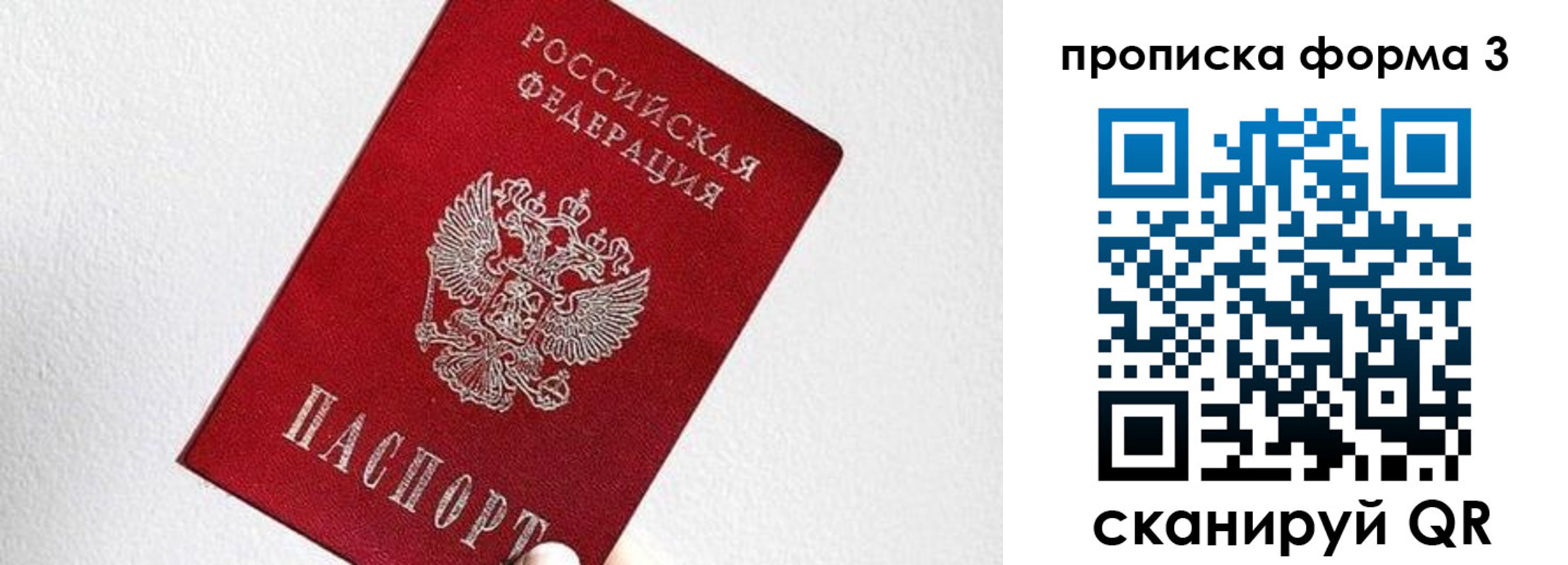 временная регистрация гарантия в Светлом